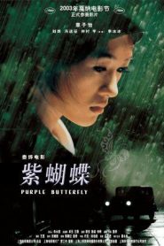 Mariposa púrpura – Zi hudie (Purple Butterfly) 紫蝴蝶