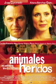 Animales heridos