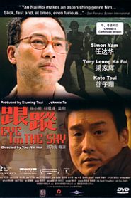 Eye in the Sky – Gun chung