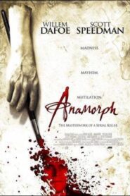 Anamorph