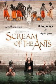 Scream of the Ants – Faryad moorcheha