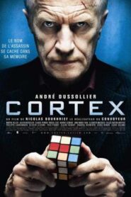 Cortex