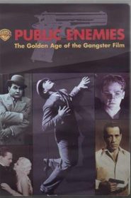 Enemigos públicos. La edad dorada del cine de gangsters (Public Enemies: The Golden Age of the Gangster Film)