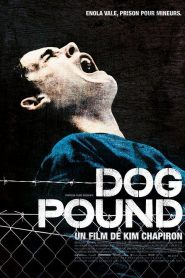 Dog Pound (La perrera)