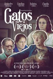 Gatos viejos – Old cats