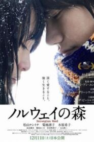 Tokio Blues (Norwegian Wood)