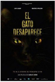 El gato desaparece