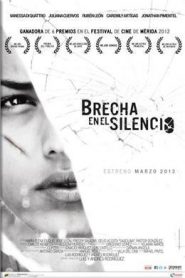 Brecha en el Silencio