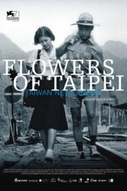 Flowers of Taipei: Taiwan New Cinema (Guangyin de gushi – Taiwan xin dianying)