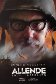 Allende en su laberinto (Allende, tu nombre me sabe a hierba)