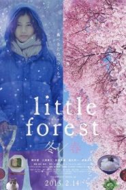 Little Forest: Winter/Spring