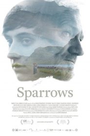 Gorriones (Sparrows) – Þrestir