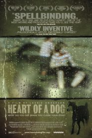 Corazón de Perro – Heart of a dog