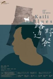 Kaili Blues (Lu bian ye can)