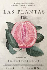 Las plantas