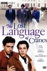 El lenguaje perdido de las grúas – The Lost Language of Cranes (Great Performances)