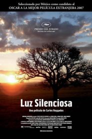 Stellet Licht – luz silenciosa