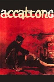 Accattone, un muchacho de Roma – Accattone