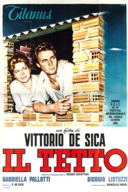 El techo – Il tetto