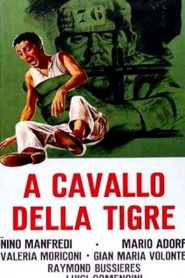 A caballo de un Tigre – A cavallo della tigre