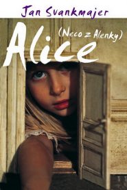 Alice – Neco z Alenky