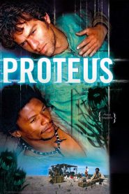 Proteus