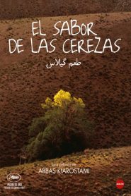 El sabor de las cerezas – Ta’m e guilass