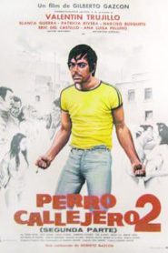 Perro callejero 2 – Perro navajero