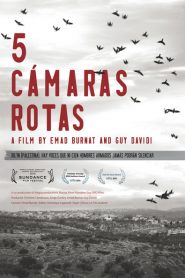 5 cámaras rotas