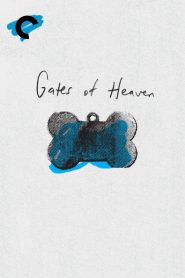 Las verjas del cielo – Gates of Heaven