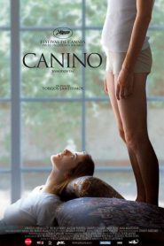 Canino – Kynodontas – Dogtooth