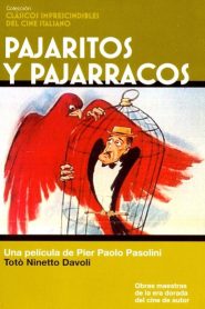 Pajaritos y pajarracos – Uccellacci e uccellini