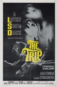 El viaje – The trip