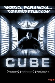 Cube