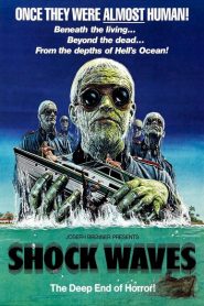 Ondas de choque – Shock waves