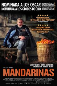 Mandarinas – Mandariinid (Tangerines)