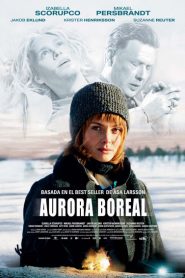 Aurora boreal – Solstorm