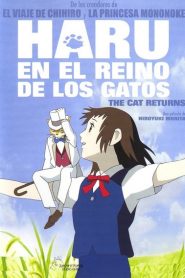 Haru en el reino de los gatos – Neko no ongaeshi (猫の恩返し)