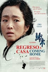 Regreso a casa – 归来