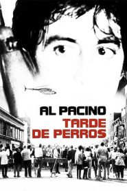 Tarde de perros – Dog day afternoon