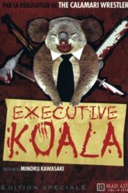 Executive Koala – Koara Kacho