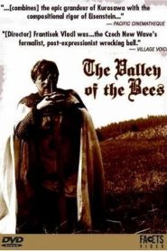 El valle de las abejas – Údolí včel