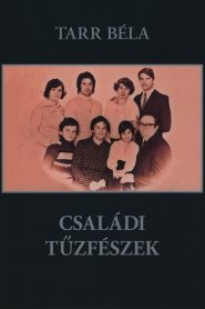 Nido familiar – Családi tűzfészek