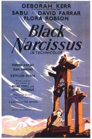 Narciso negro – Black Narcissus