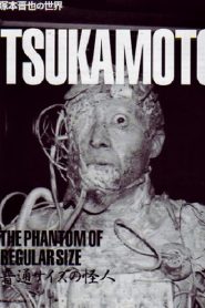 Futsû saizu no kaijin – The Phantom of Regular Size