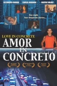 Amor en concreto