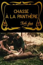 La caza de la pantera – Chasse à la panthère