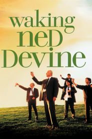 Despertando a Ned – Waking Ned Devine