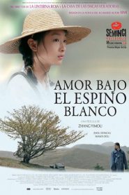 Amor bajo el espino blanco – 山楂樹之戀 – Han zha shu zhi lian – The Love of the Hawthorn Tree