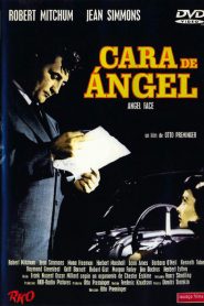 Cara de ángel – Angel face